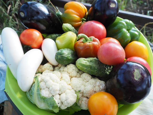 彩り豊かな夏野菜の盛り合わせ トマト・ナス・きゅうりなど